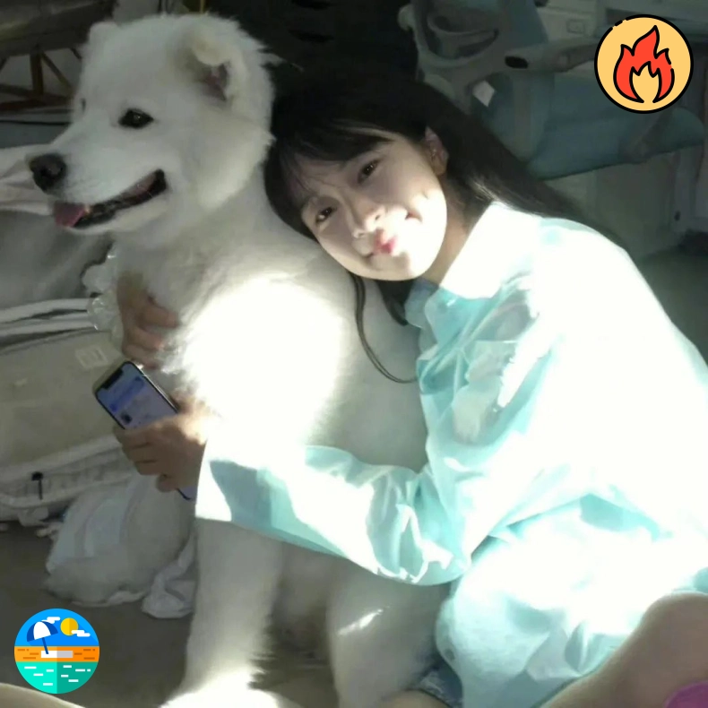 用户头像